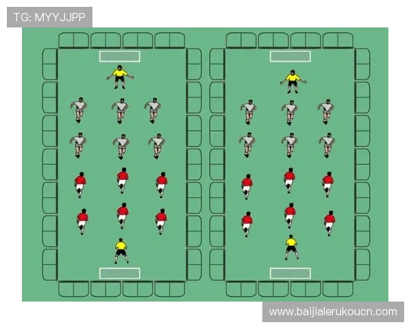 如何选择适合自己的真人体育游戏平台及提升游戏体验的实用技巧