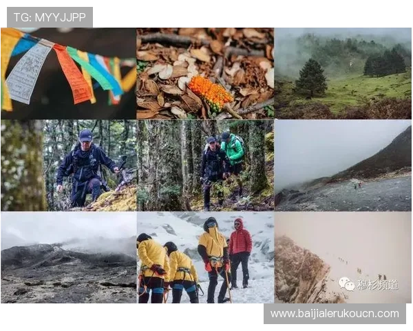 威尼斯真人官网专业客服全天在线为玩家提供贴心服务确保每一次游戏体验顺畅愉快