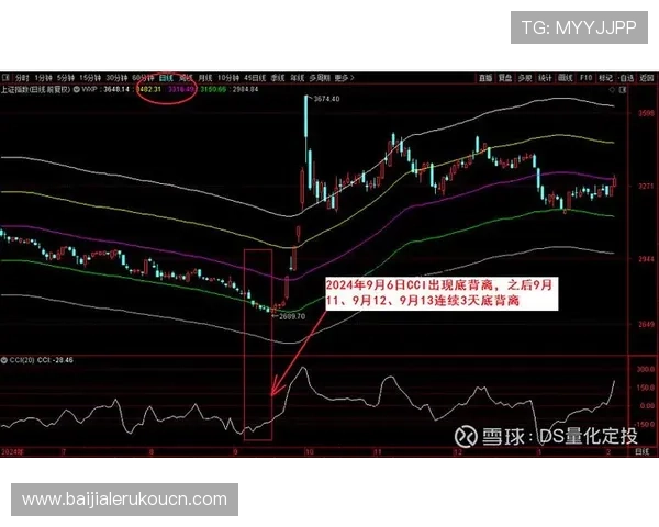 BG真人怎么看走势实现精准判断的实战经验与策略分析